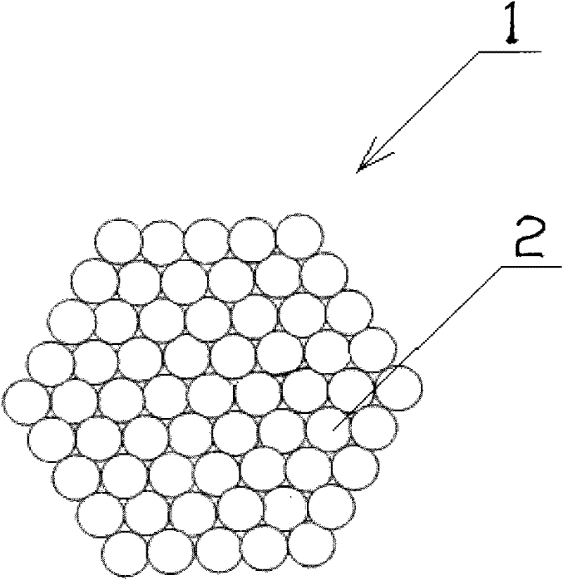 Microbeam proton fluorescence spectrometer