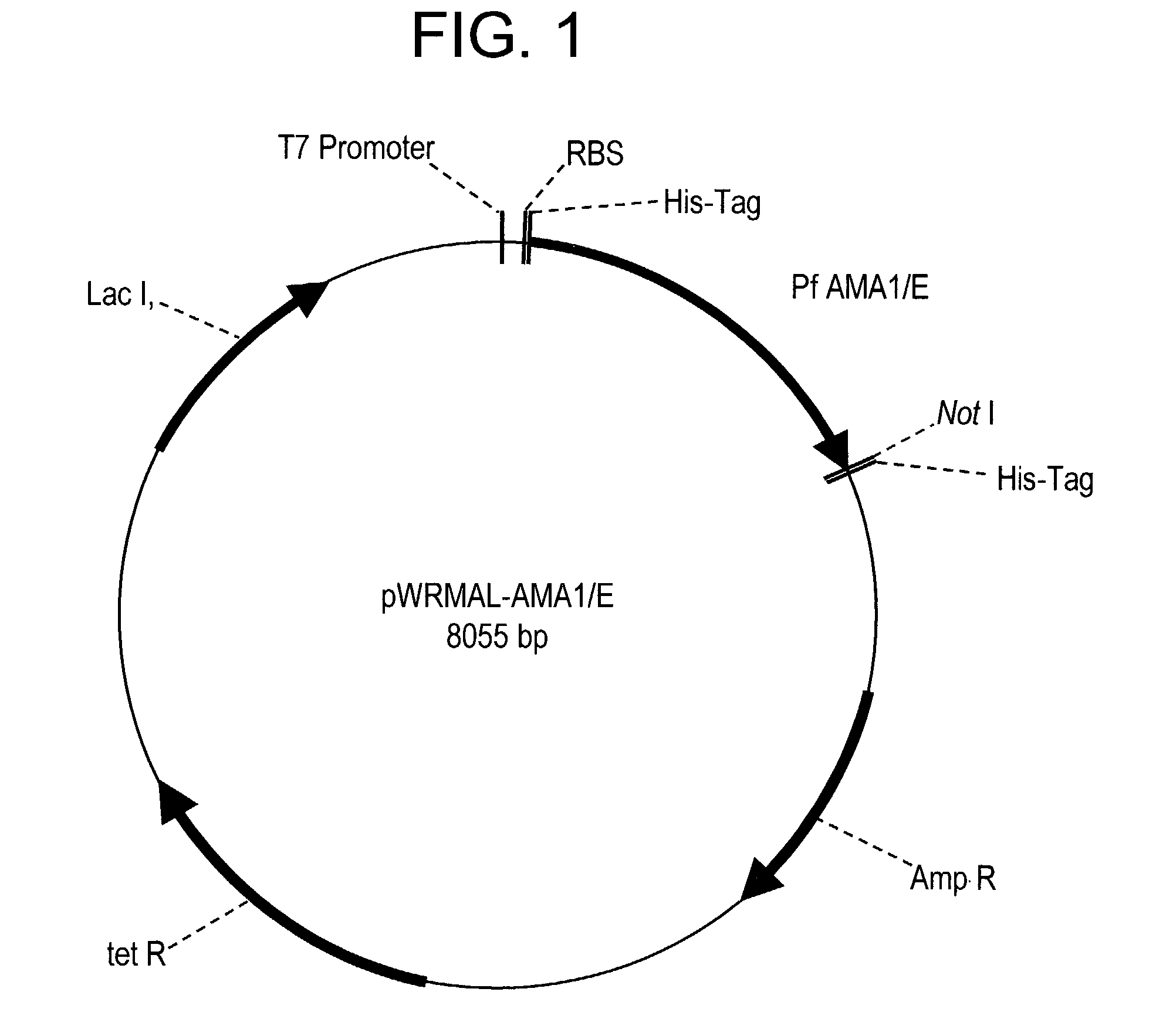 <i>Plasmodium falciparum </i>AMA-1 protein and uses thereof