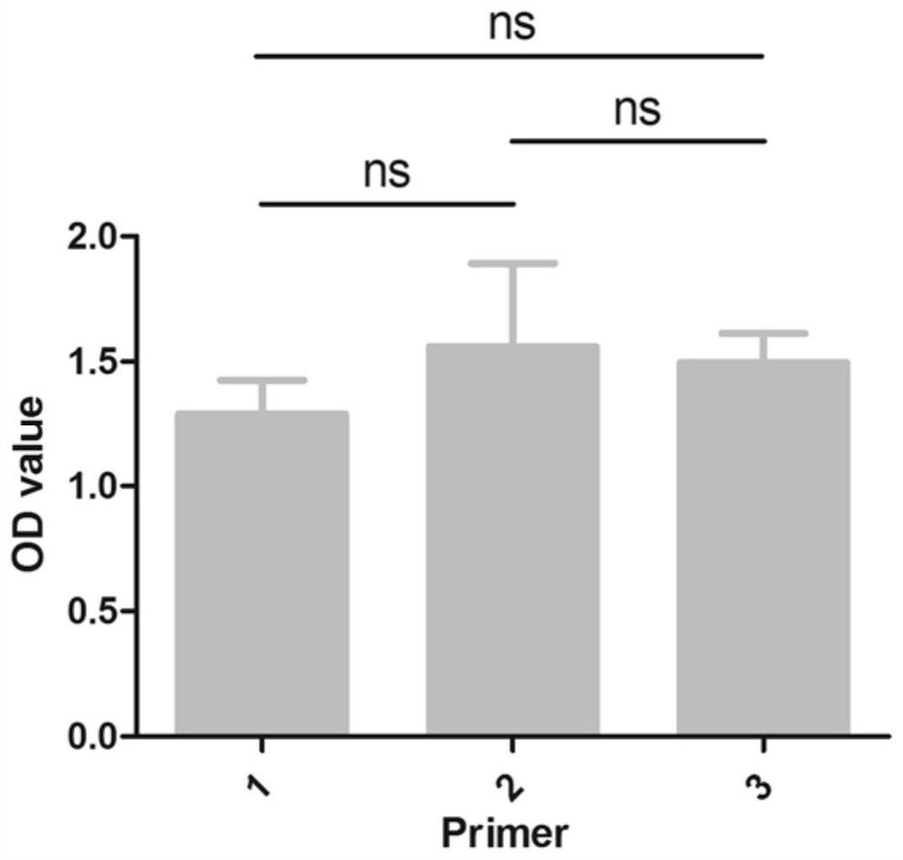 Mass spectrum method for quantifying nucleic acid based on DNA-polypeptide probe technology and application thereof