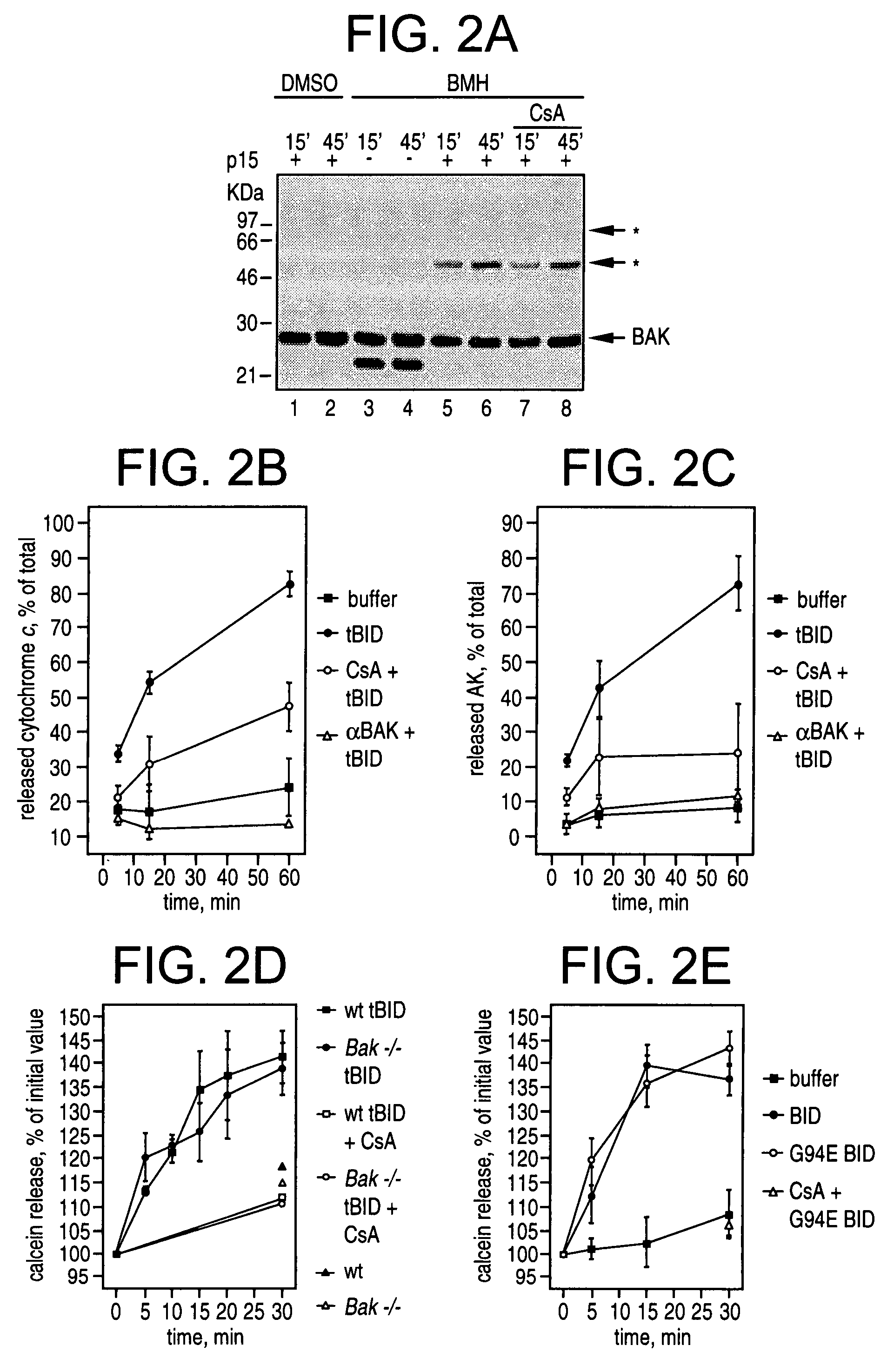 Method of treating apoptosis and compositions thereof