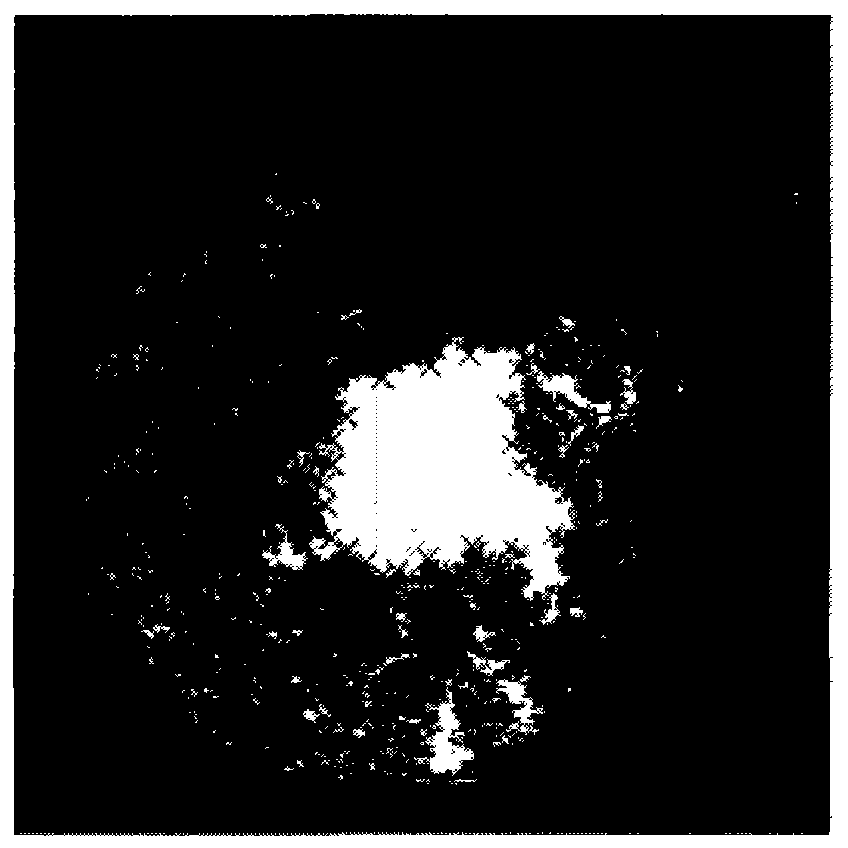 Method for measuring area and shape of forest gap