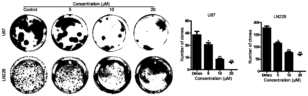 Parthenolide derivatives, and preparation method and application thereof