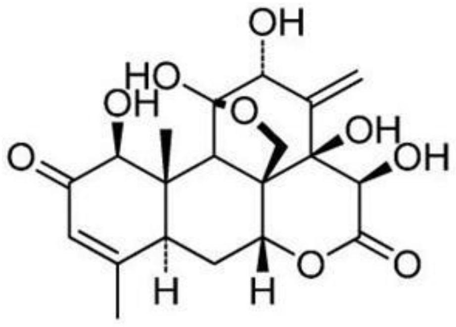 Application of eurycomanone in preparation of medicine for preventing and treating acute kidney injury