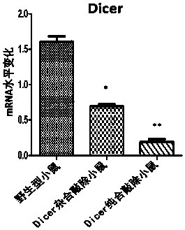 Application of miRNA-324-5p and its activators in the preparation of clinical markers and therapeutic drugs for inflammatory bowel disease and inflammatory bowel disease-related colorectal cancer