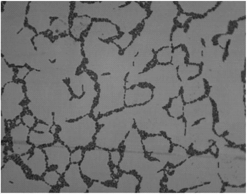 Lactobacillus rhamnosus and application thereof to preparation of vaginal antibacterial medicine