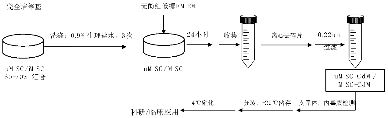 Preparation and application of mesenchymal stem cell secretion factors