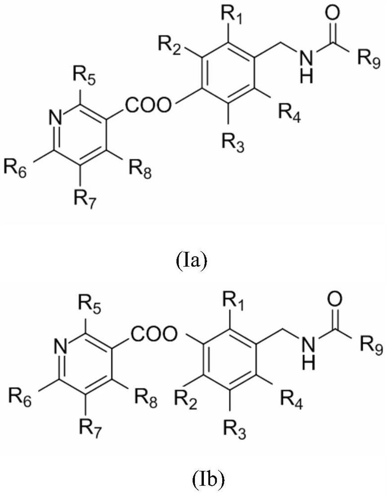 Capsaicin-containing nicotinic acid derivative, preparation method and use thereof