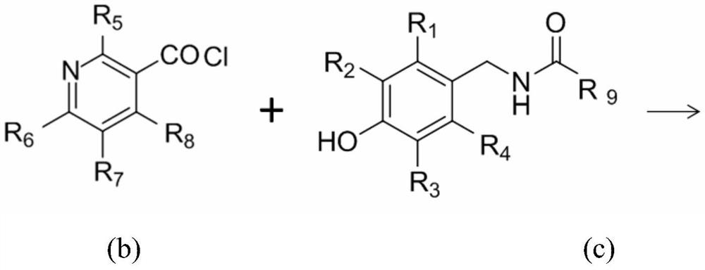 Capsaicin-containing nicotinic acid derivative, preparation method and use thereof