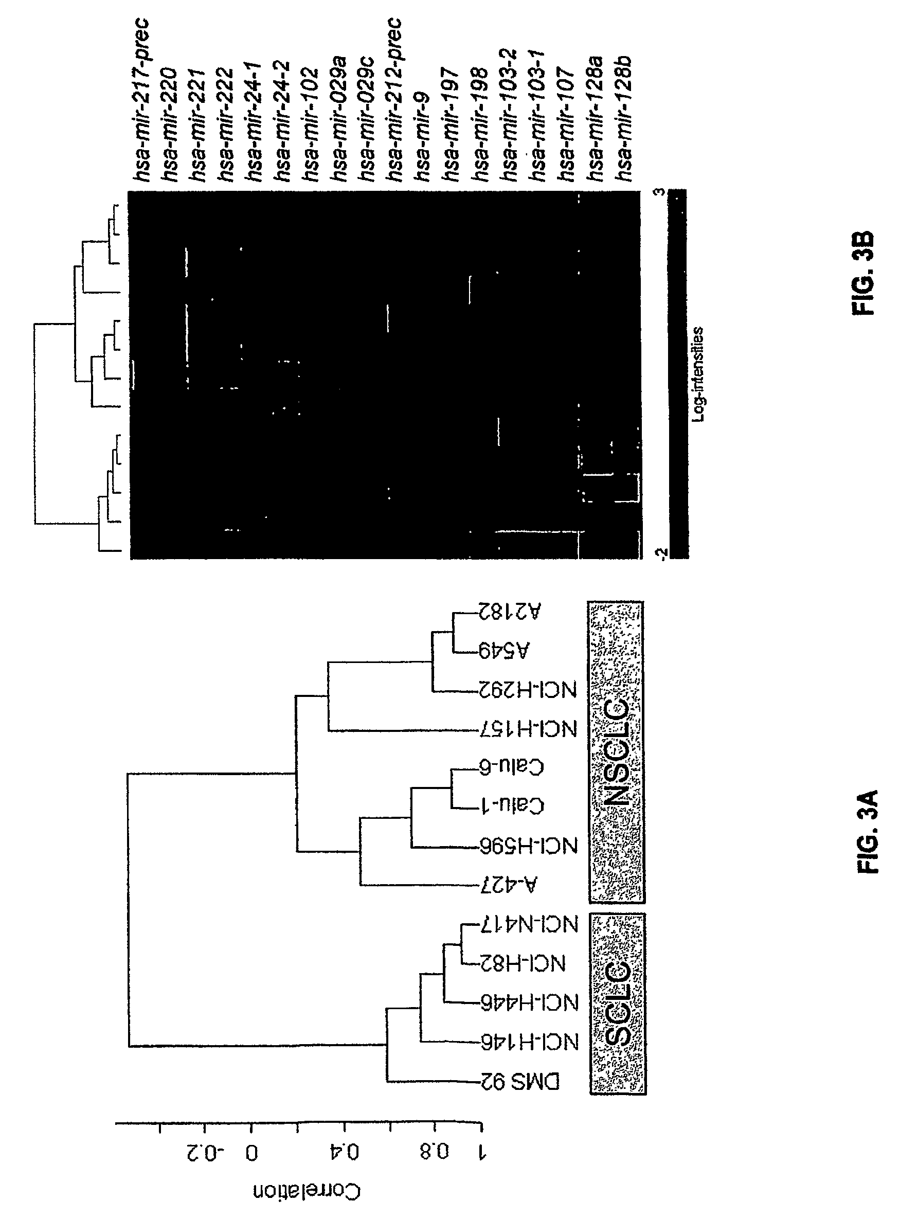 Microrna-based methods and compositions for the diagnosis, prognosis and treatment of lung cancer