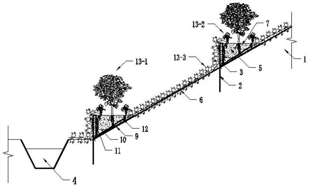 Water and soil co-storage and ecological slope protection method for karst sloping field and stony desertification side slope