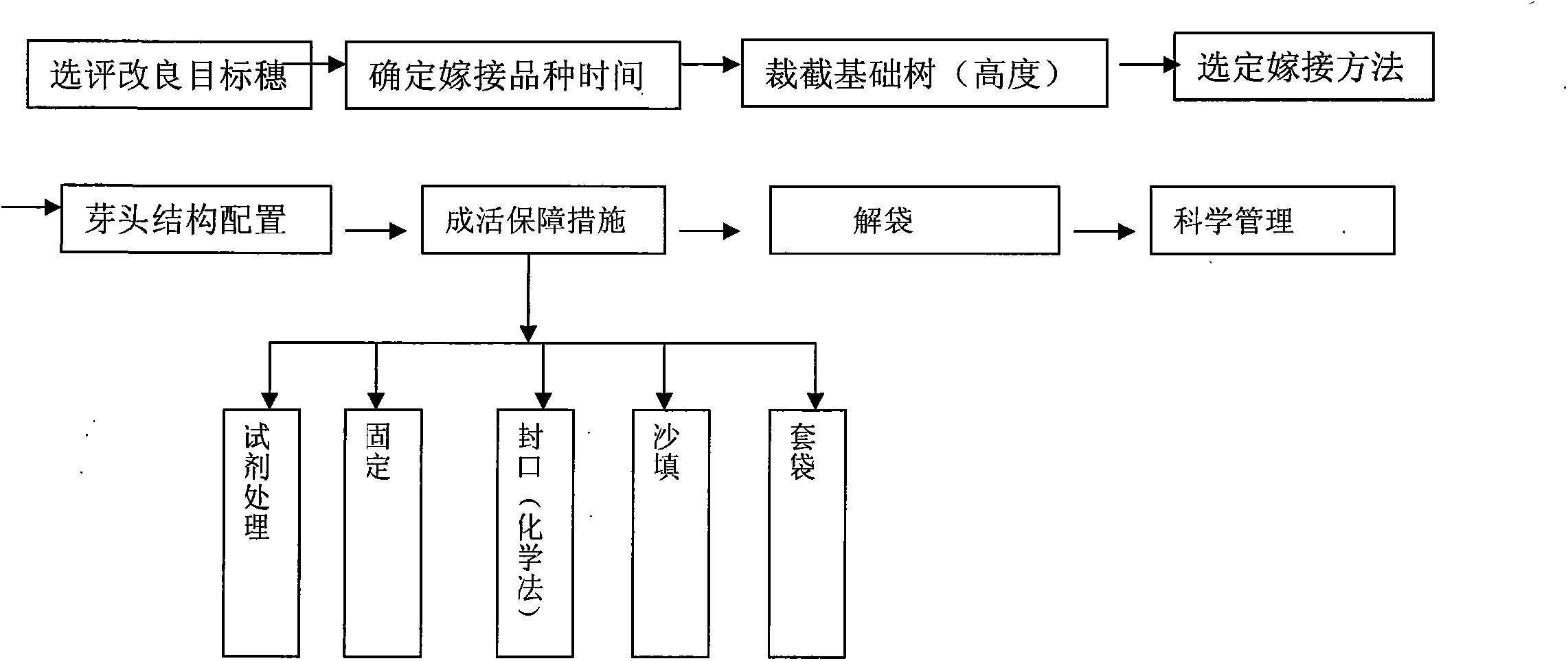 Quick and efficient fruit tree variety transformation technology