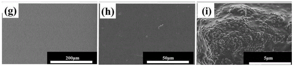 Preparation method and application of amphiphilic fluorine-containing nano-microsphere/fluorine-containing epoxy resin hybrid