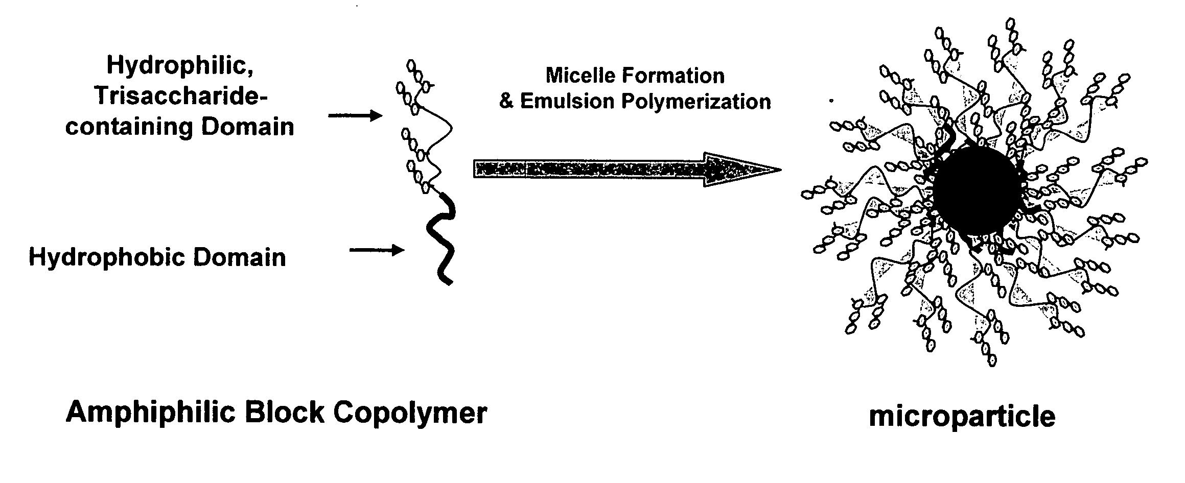 Toxin binding compositions