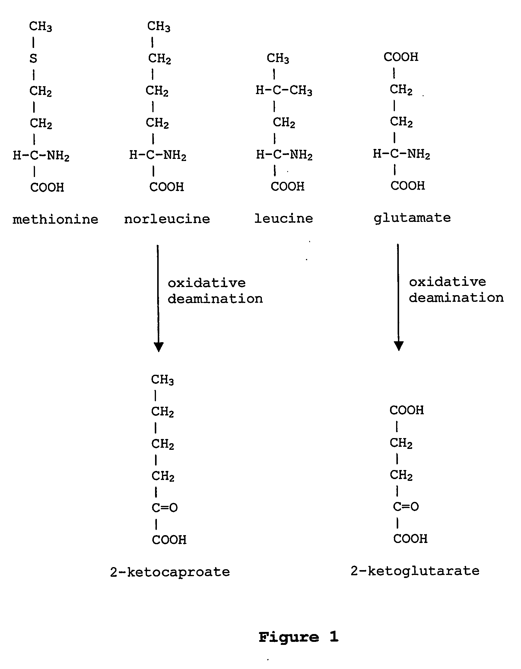 Prevention of incorporation of non-standard amino acids into protein