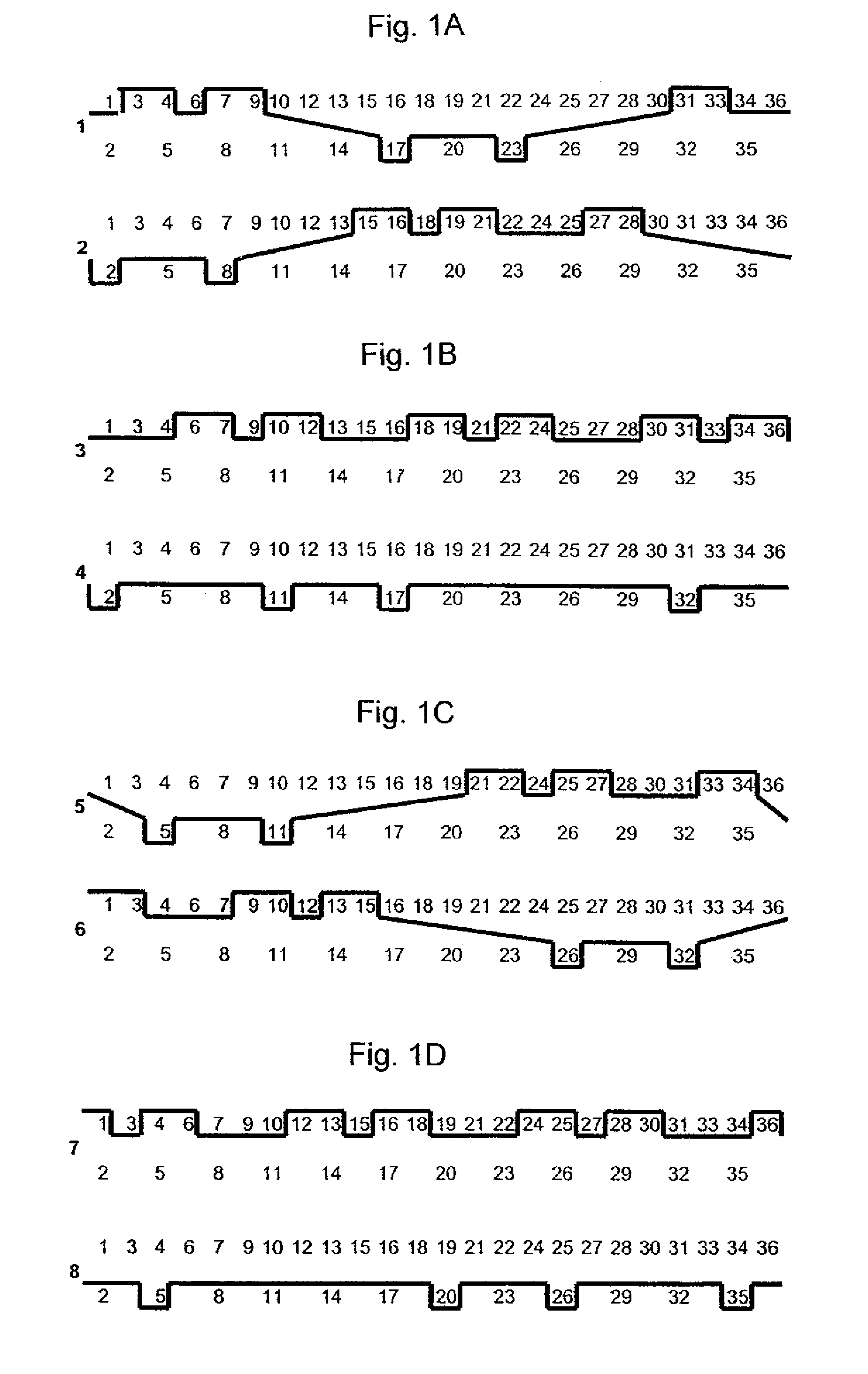 Forming fabric having offset binding warps