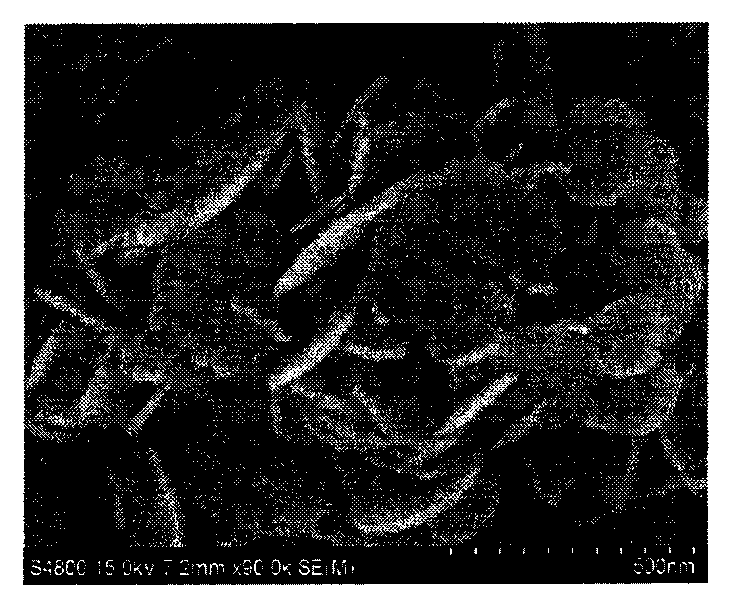 Preparation method of metal nano plate or metal/high polymer composite nano plate