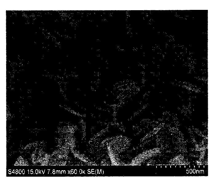 Preparation method of metal nano plate or metal/high polymer composite nano plate