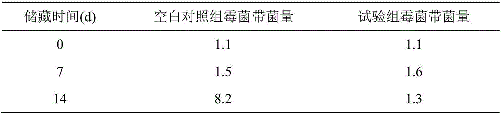 Bacillus subtilis strain and application of antifungal metabolite in grain storage