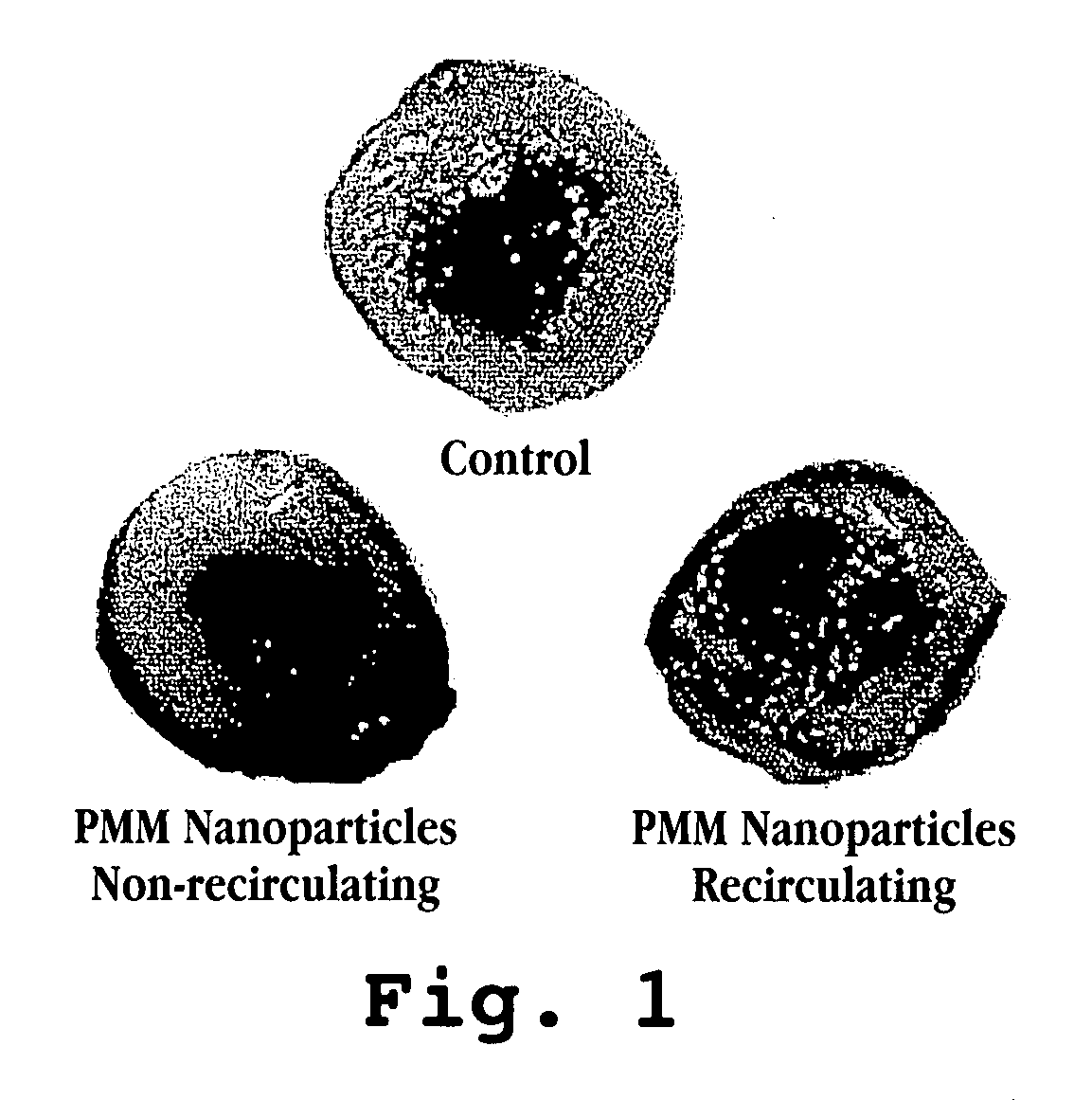 Method and use of nano-scale devices for reduction of tissue injury in ischemic and reperfusion injury