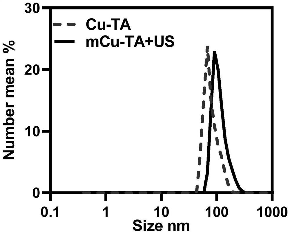 Homologous targeting tannic acid copper albumin composite nanoparticle and preparation method and anti-tumor application thereof