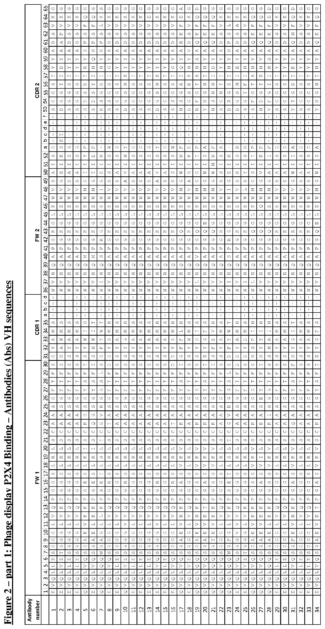 P2X4 antibodies and uses thereof