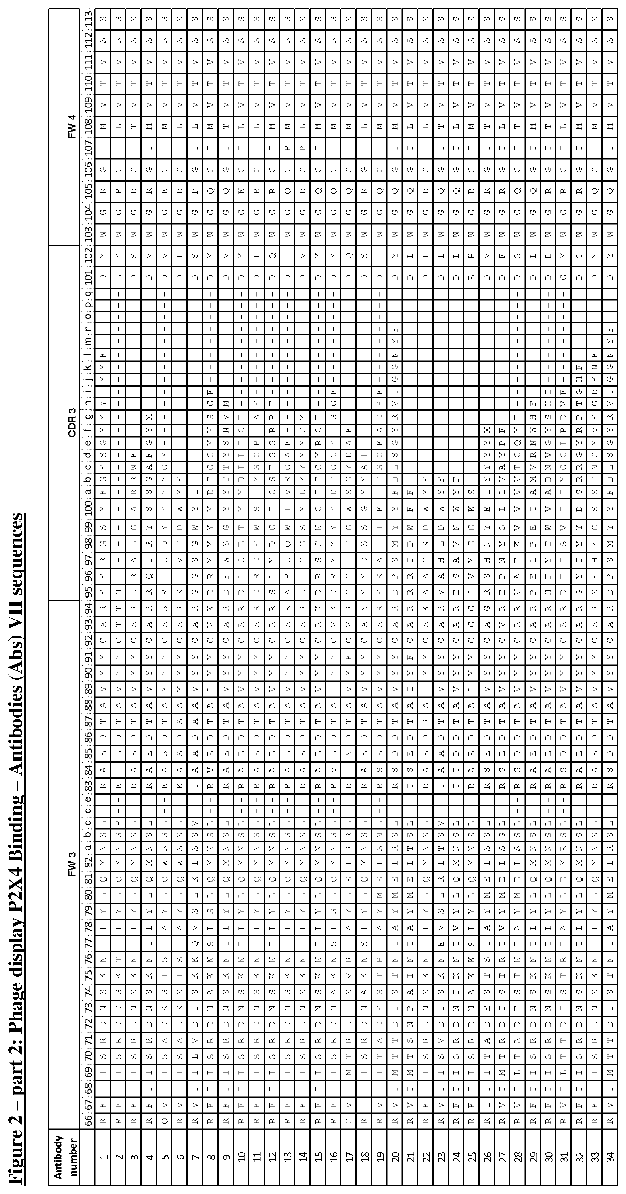 P2X4 antibodies and uses thereof