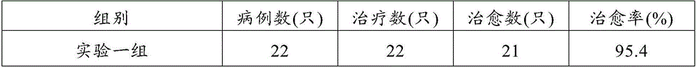 Traditional Chinese medicine composition for treating foot rot of sheep