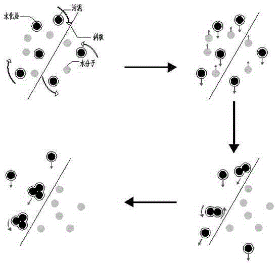 Inclined plate selective culture method and device for aerobic granular sludge