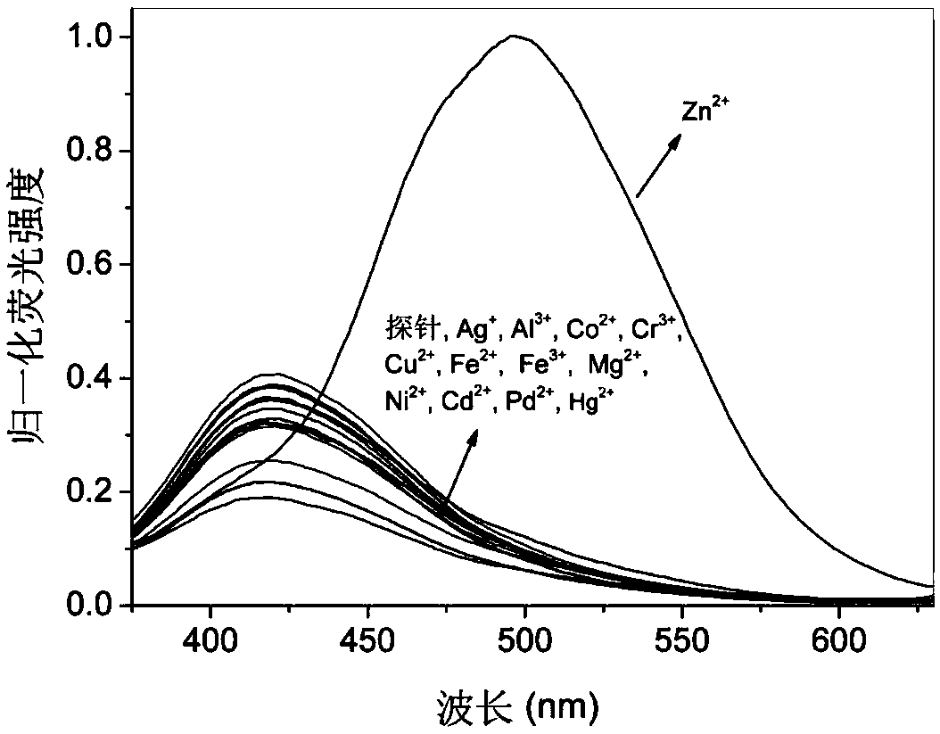 8-aminoquinoline amide derivative, preparation method, application and fluorescence analysis method thereof