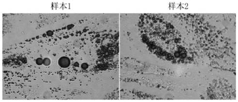 Genetically modified stem cell for cartilage repair treatment and application thereof