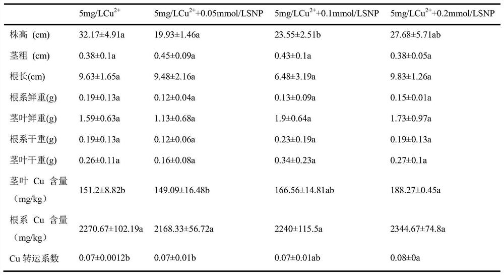 Method for enhancing copper pollution tolerance of reeds by using gas molecule NO