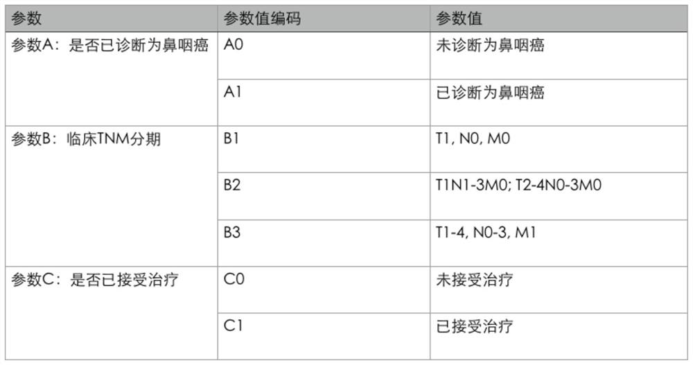 Nasopharynx cancer clinical decision-making, teaching and scientific research auxiliary support system and method