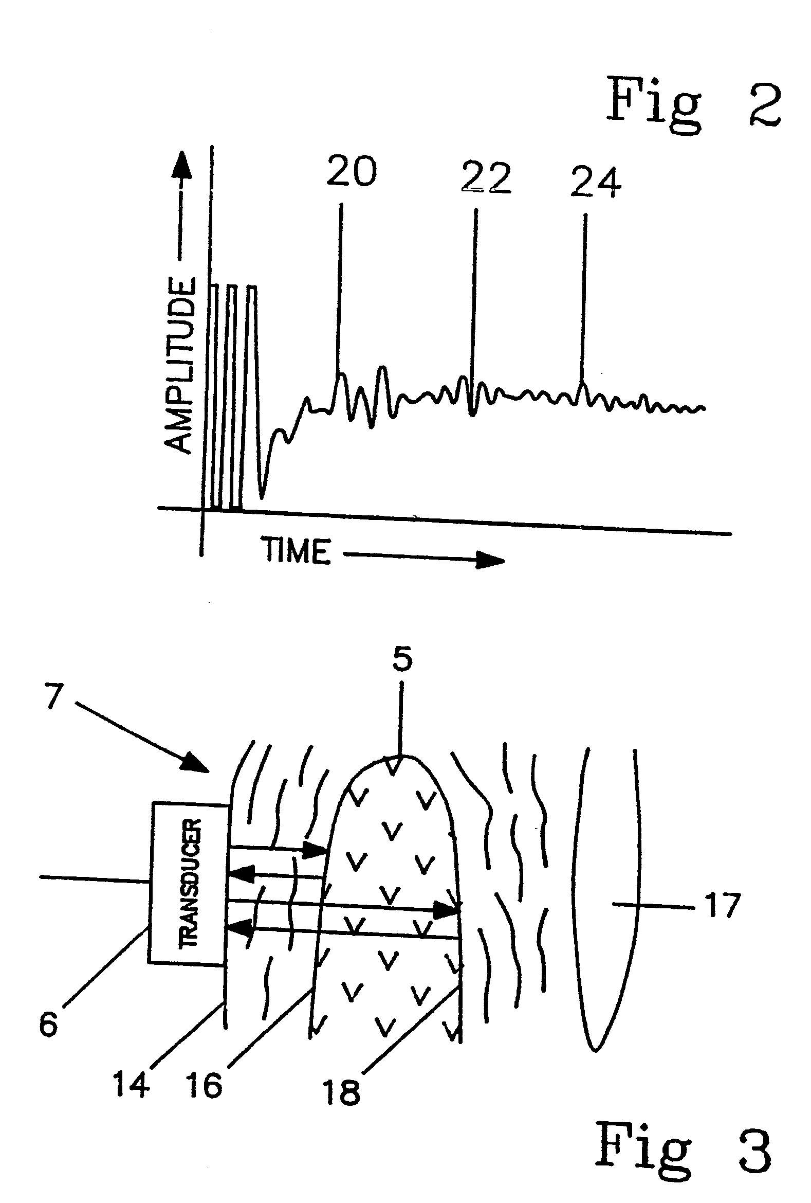 Method and system for biometric recognition using unique internal distinguishing characteristics