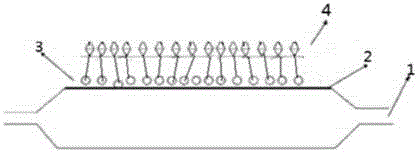 Novel drug eluting balloon catheter