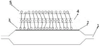 Novel drug eluting balloon catheter