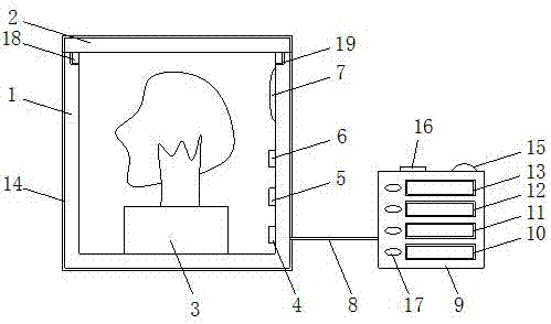 Photosynthesis experiment device for teaching purposes