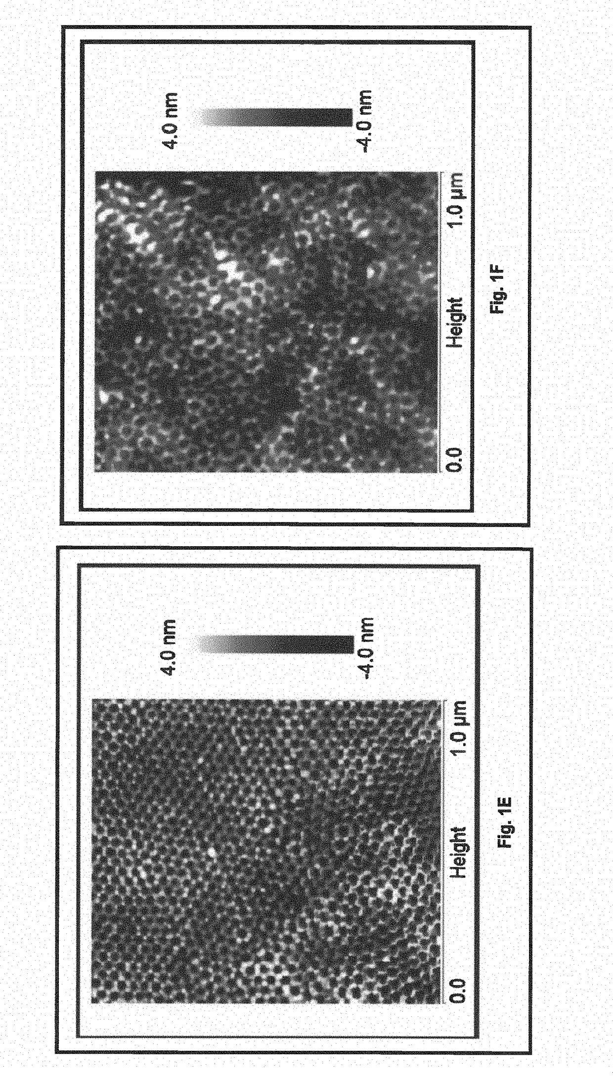 Magnetic Diode in Artificial Magnetic Honeycomb Lattice