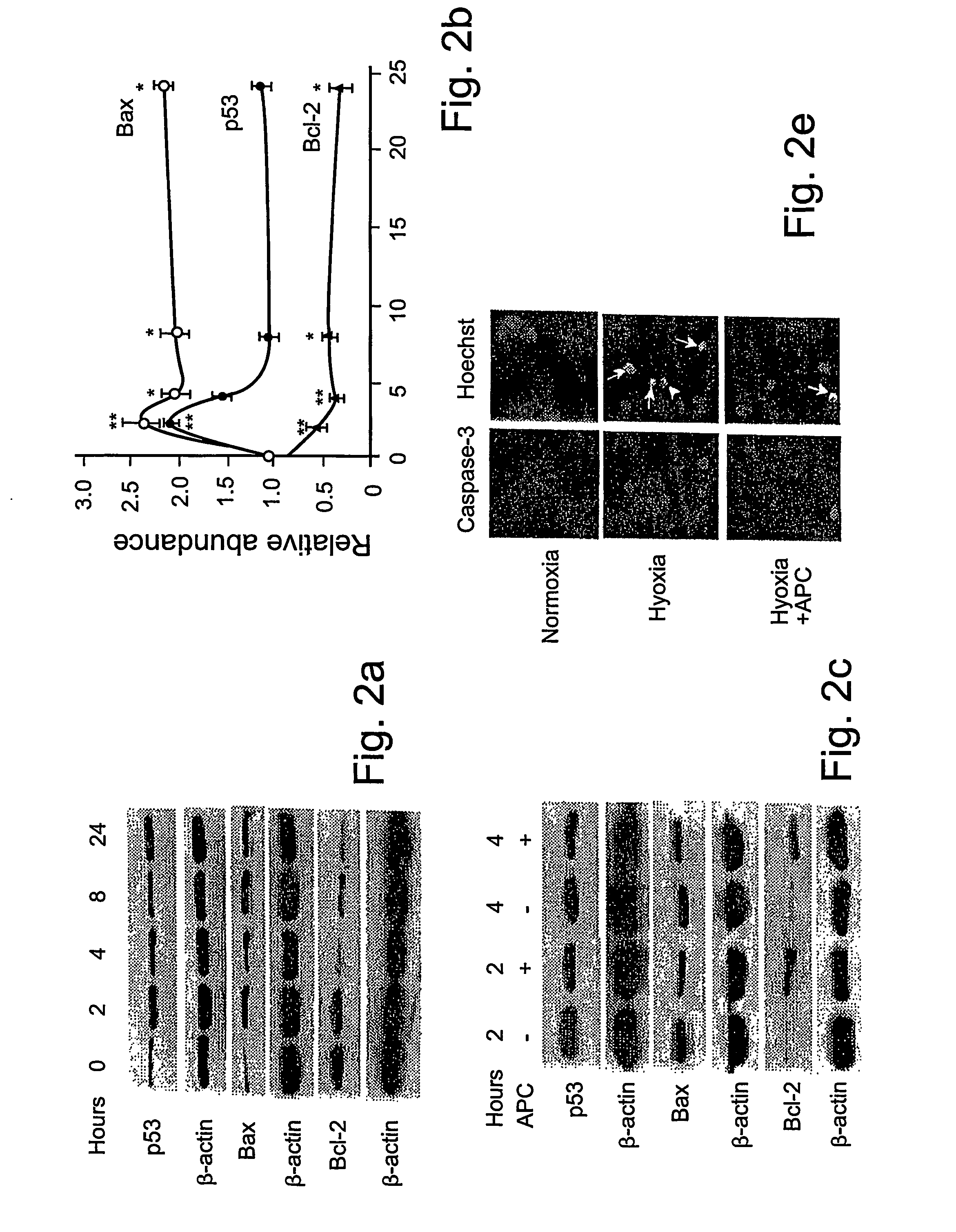 Neuroprotective activity of activated protein c independent of its anticoagulant activity