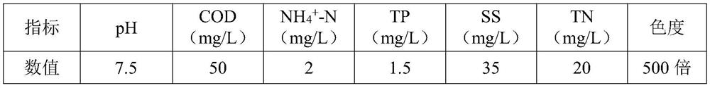 Deep denitrification and decolorization system for chemical wastewater