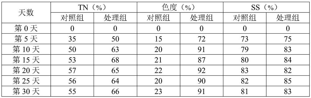 Deep denitrification and decolorization system for chemical wastewater