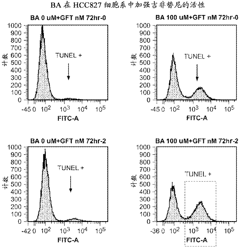 Treatment of lung cancer with a PARP inhibitor in combination with a growth factor inhibitor