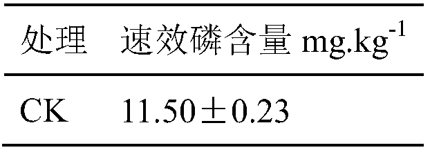 Bacillus P75 for improving Pisha sandstone soil fertility and application thereof