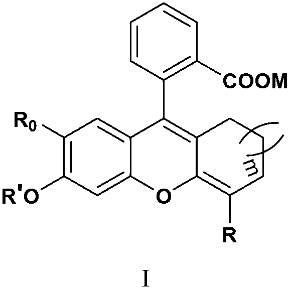 Fluorescence dye using fluorescein as matrix, and preparation method and application thereof