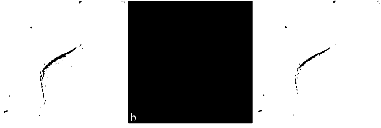 Fluorescence dye using fluorescein as matrix, and preparation method and application thereof