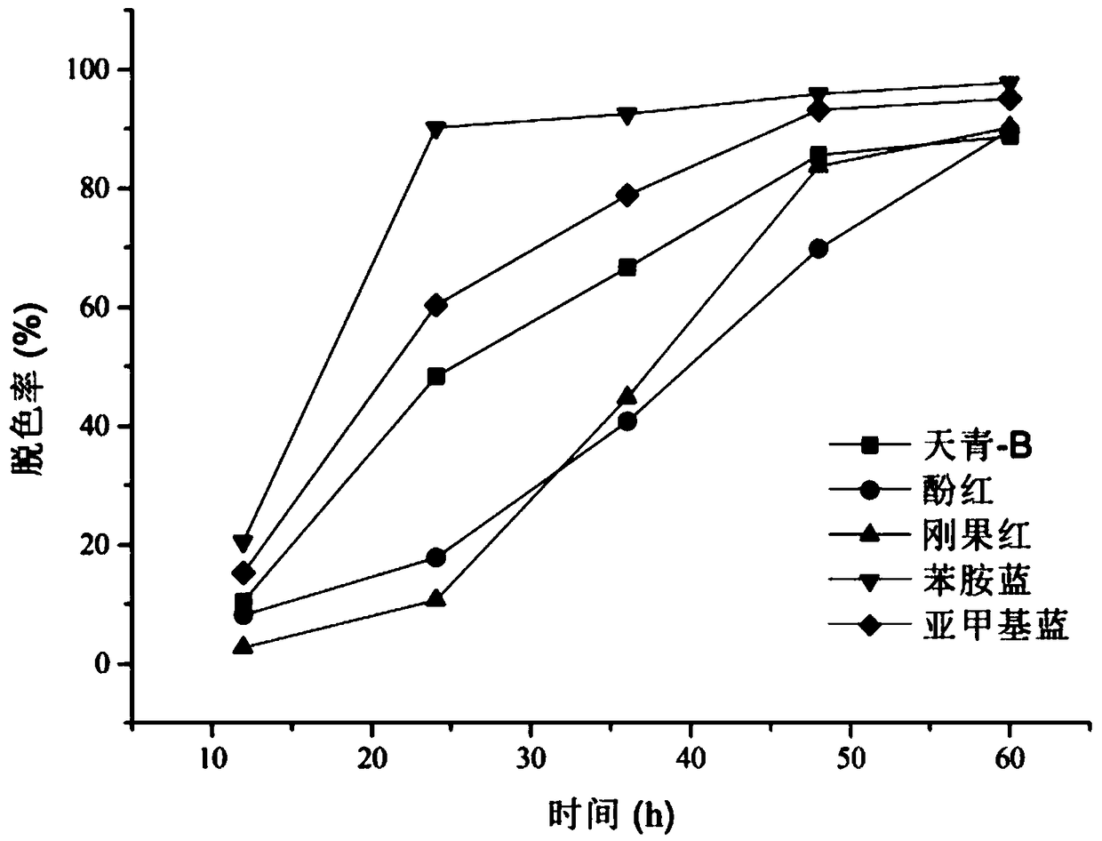 Preparation method and application of dye decolorizing complex microbial inoculant