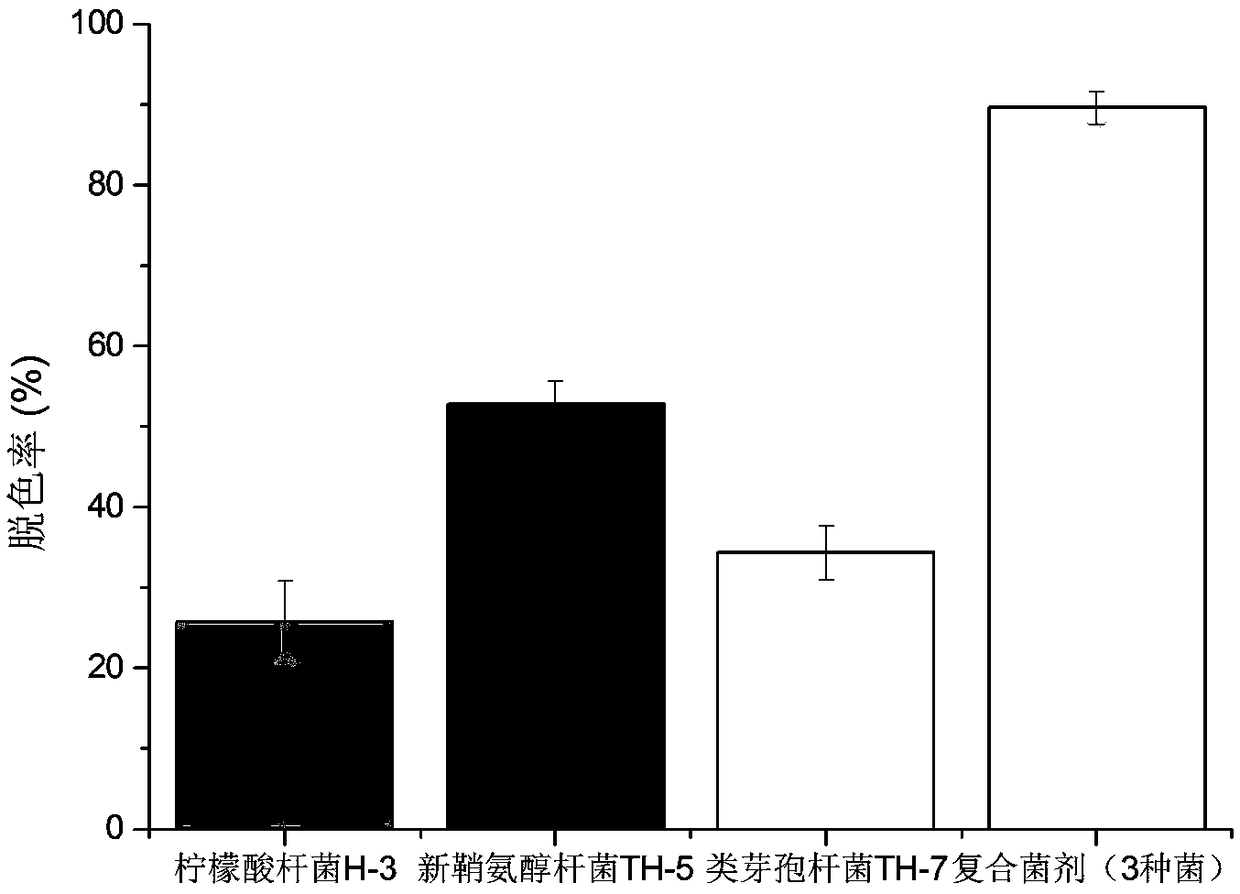 Preparation method and application of dye decolorizing complex microbial inoculant