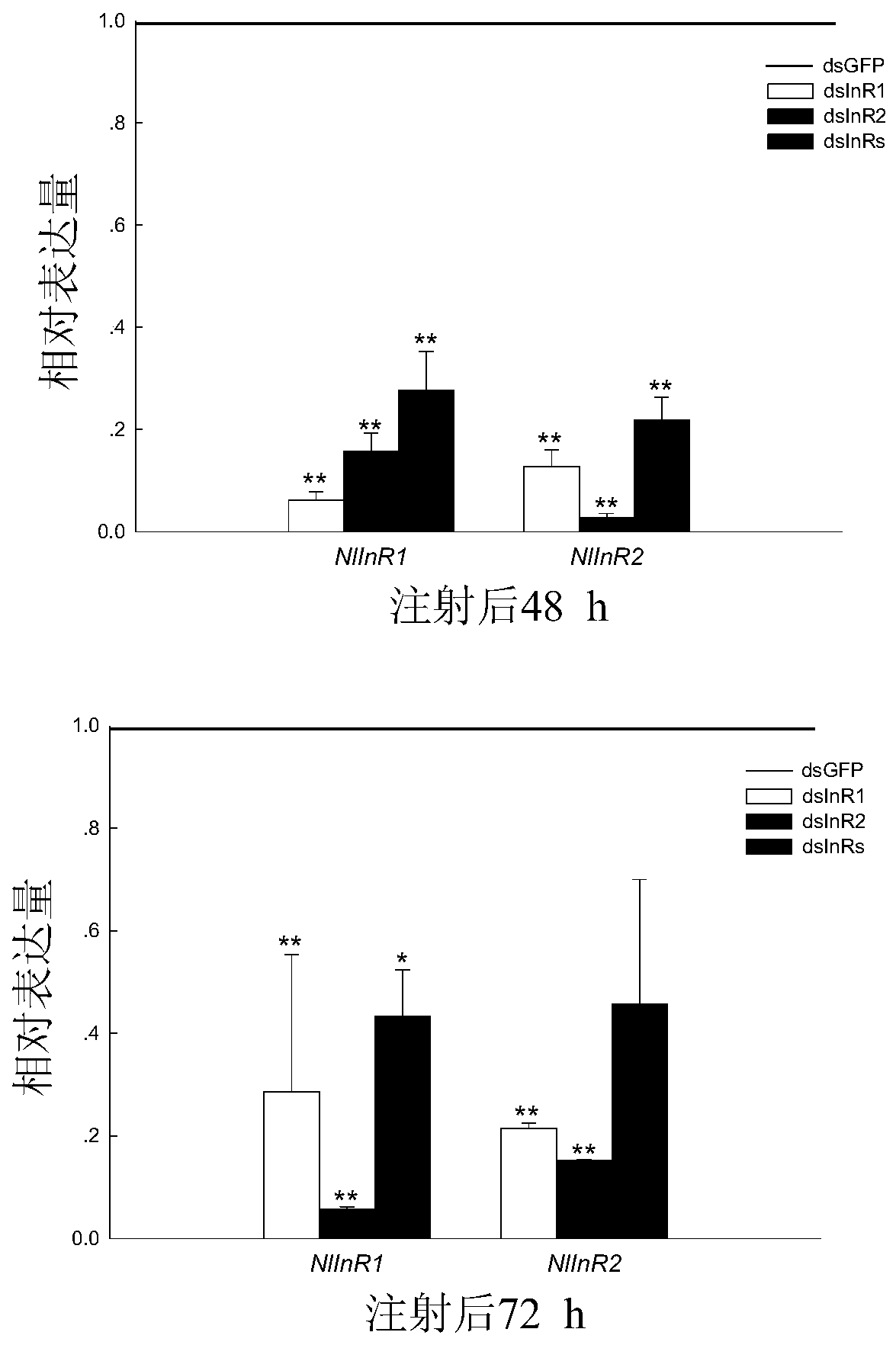 Application of NlInR gene of brown planthopper as target point in preparation of pesticide for preventing and treating brown planthopper