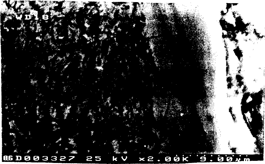 Method for preparing the carbide coat on surface of metal alloy basal body containing carbon