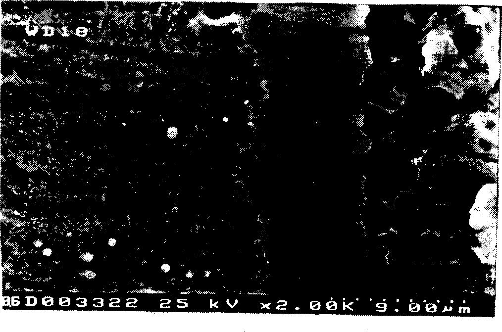 Method for preparing the carbide coat on surface of metal alloy basal body containing carbon