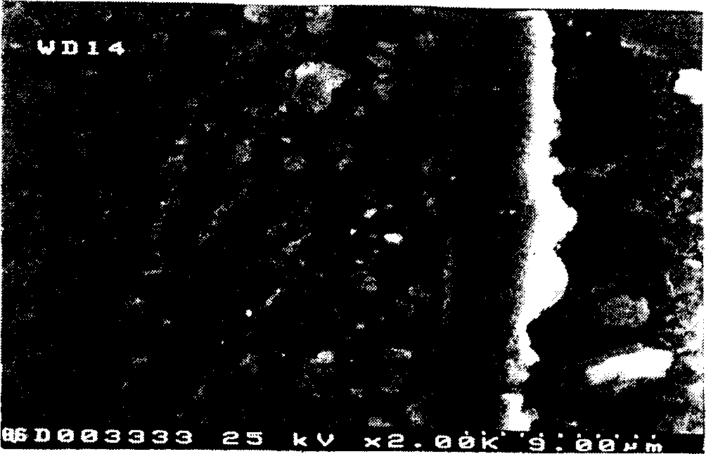 Method for preparing the carbide coat on surface of metal alloy basal body containing carbon